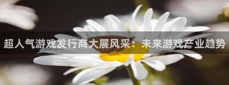 db电竞官网主管他494o3 主管：超人气游戏发行商大展风采：未来游戏产业趋势