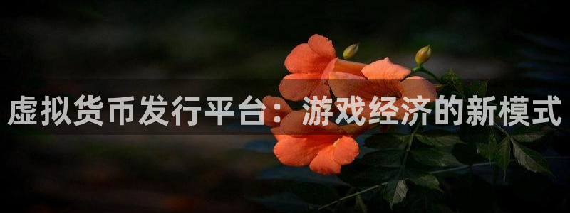 db电竞子猫图片：虚拟货币发行平台：游戏经济的新模式