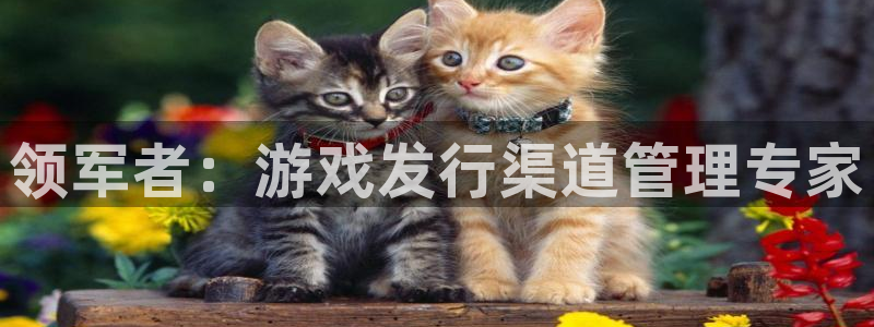 db电竞子酒业
