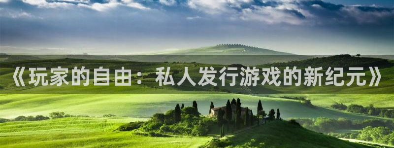 db电竞官网注册方法视频下载：《玩家的自由：私人发行游戏的新纪元》