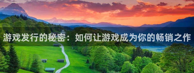 陕西db电竞子文化公司加我qq：游戏发行的秘密：如何让游戏成为你的畅销之作