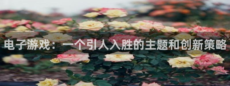 db电竞官网登录注册失败怎么办：电子游戏：一个引人入胜的主题和创新策略