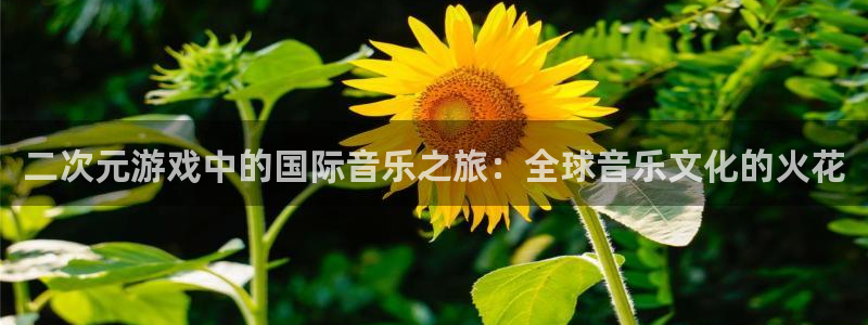 db电竞品牌logo：二次元游戏中的国际音乐之旅：全球音乐文化的火花