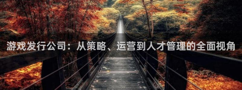 db电竞官网注册方法：游戏发行公司：从策略、运营到人才管理的全面视角