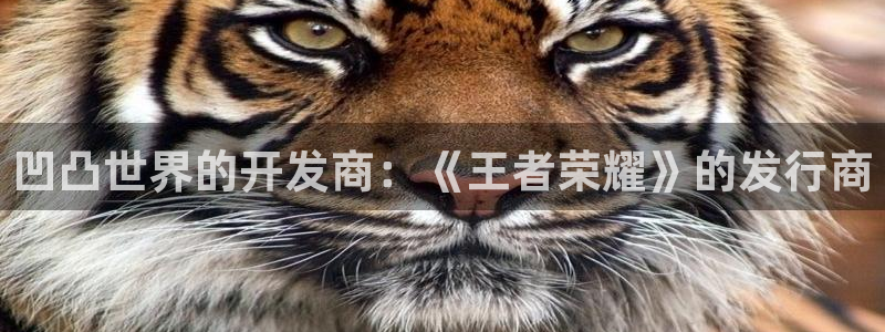 db电竞品牌策划：凹凸世界的开发商：《王者荣耀》的发行商