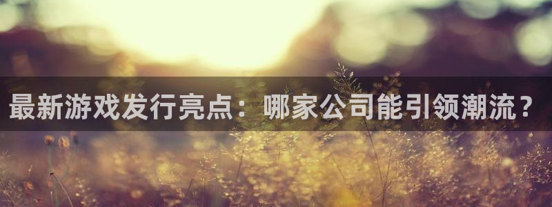 我想看db电竞