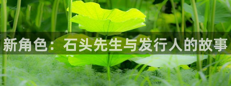 db电竞官网注册平台登录入口：新角色：石头先生与发行人的故事