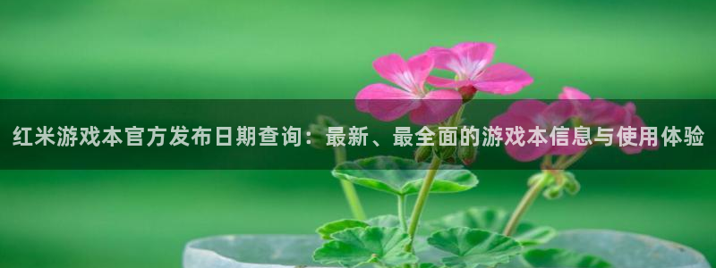 db电竞子 到底怎么样：红米游戏本官方发布日期查询：最新、最全面的游戏本信息与使用体验