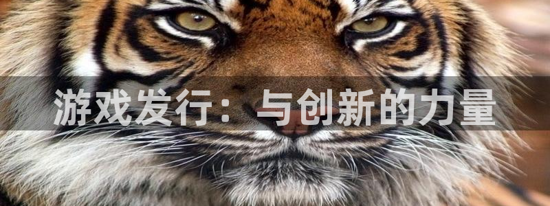 db电竞官网登录注册账号是什么意思