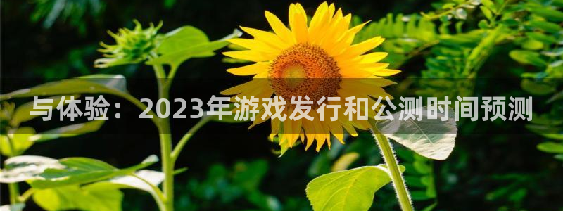 江苏db电竞智得新材料